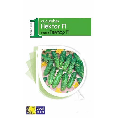 Огірок Гектор F1 Vinel seeds зображення 1 артикул 95636