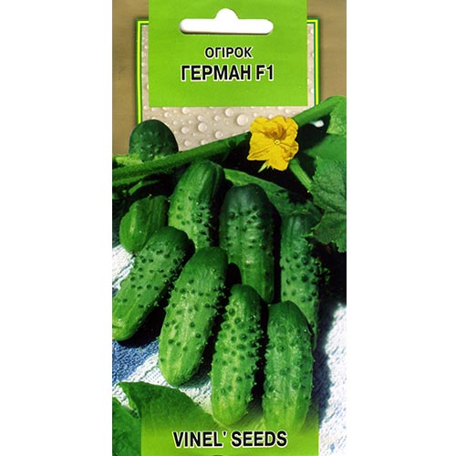 Огірок Герман F1 Vinel seeds зображення 1 артикул 95637