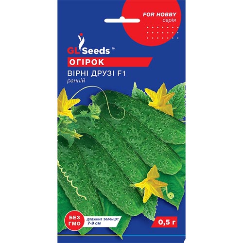Огурец Верные друзья F1 GL Seeds артикул фото 1 Огурец Верные друзья F1 GL Seeds рисунок 1 артикул 85682