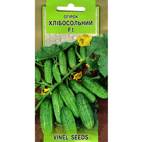 Огірок Хлібосольний F1 Vinel seeds зображення 1 артикул 95704