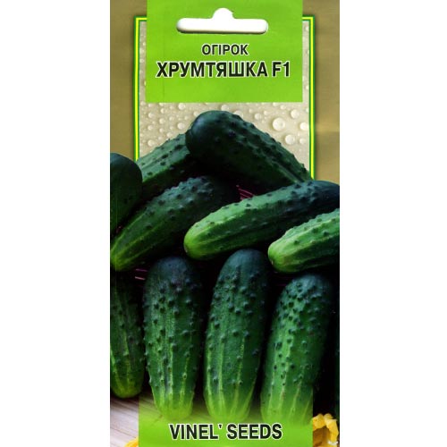 Огірок Хрумтяшка F1 Vinel seeds зображення 1 артикул 95706