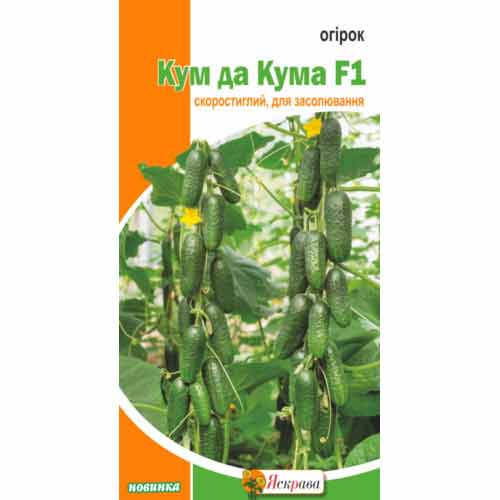 Огірок Кум да Кума F1 Яскрава зображення 1 артикул 99941