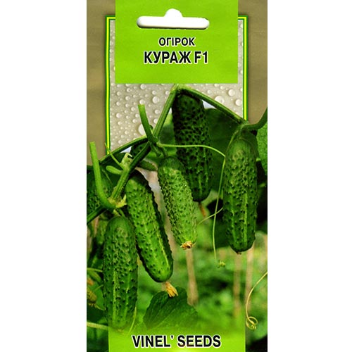 Огірок Кураж F1 Vinel seeds зображення 1 артикул 95659