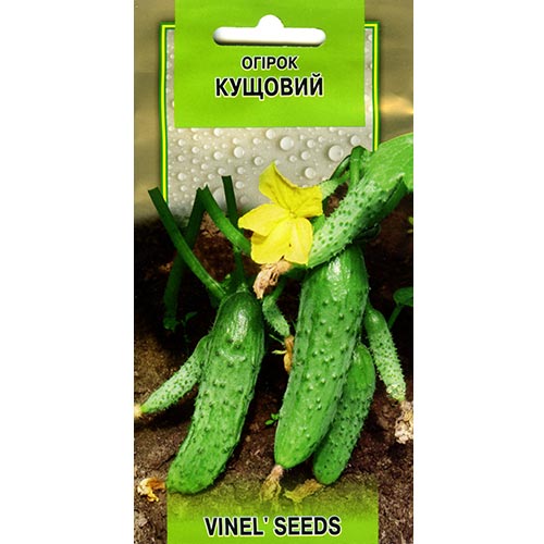 Огірок Кущовий Vinel seeds зображення 1 артикул 95660