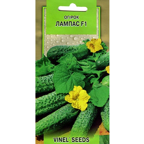 Огірок Лампас F1 Vinel seeds зображення 1 артикул 95662