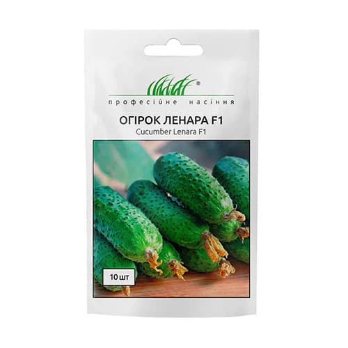 Огірок Ленара F1 Професійне насіння зображення 1 артикул 96193