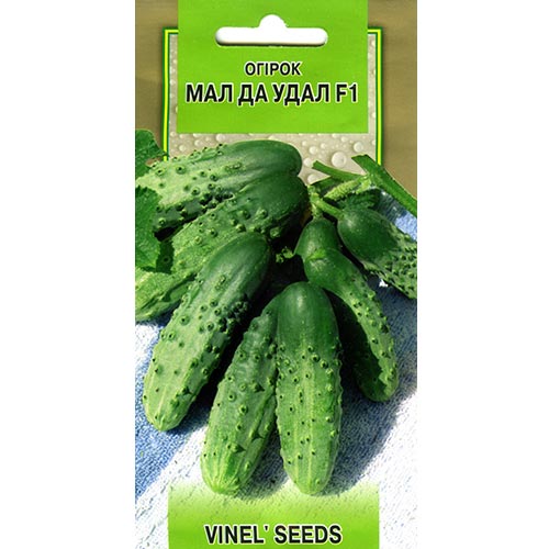 Огурец Мал да удал F1 Vinel seeds рисунок 1 артикул 95665
