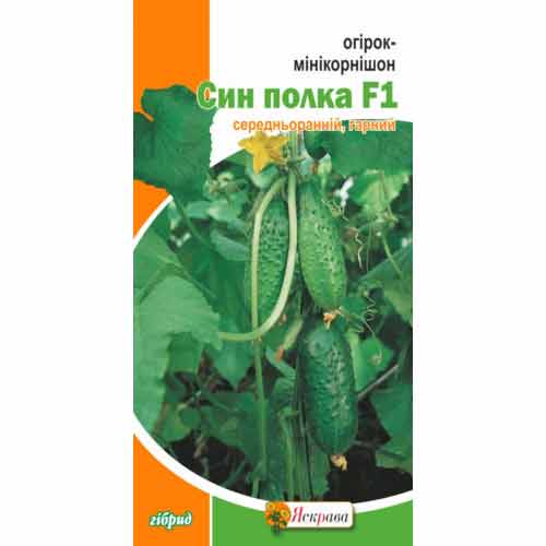 Огiрок-мінікорнішон Син полка F1 Яскрава артикул фото 1 Огiрок-мінікорнішон Син полка F1 Яскрава зображення 1 артикул 99958