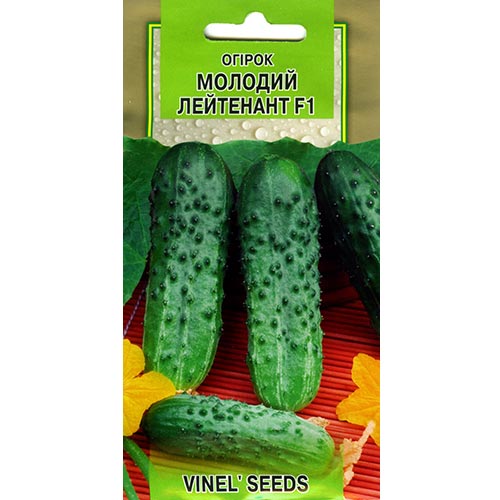 Огірок Молодший лейтенант F1 Vinel seeds зображення 1 артикул 95668