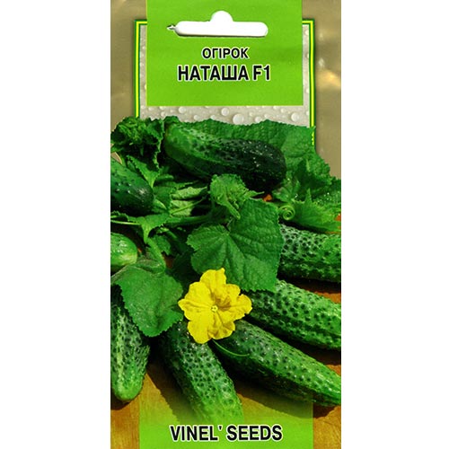 Огірок Наташа F1 Vinel seeds зображення 1 артикул 95671