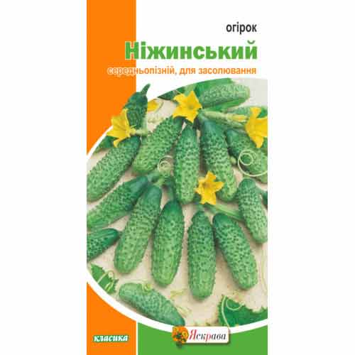Огурец Нежинский Яскрава артикул фото 1 Огурец Нежинский Яскрава рисунок 1 артикул 99945