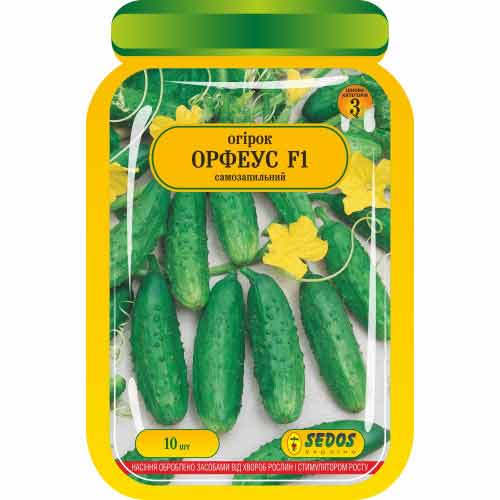 Огірок Орфеус F1 Яскрава зображення 1 артикул 99946