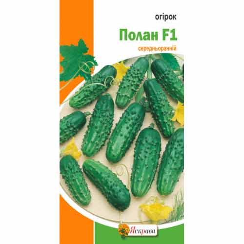 Огiрок Полан F1 Яскрава зображення 1 артикул 99948