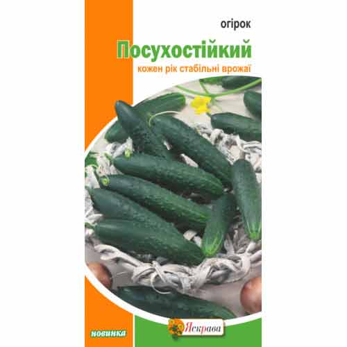 Огірок Посухостійкий Яскрава артикул фото 1 Огірок Посухостійкий Яскрава зображення 1 артикул 99947