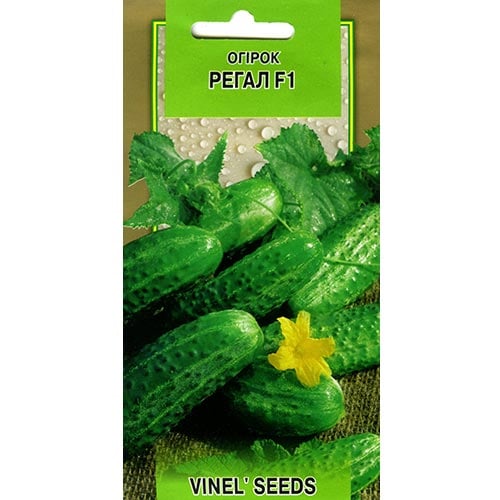 Огірок Регал F1 Vinel seeds зображення 1 артикул 95677