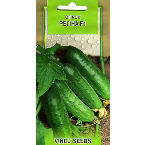 Огірок Регіна F1 Vinel seeds зображення 1 артикул 95678