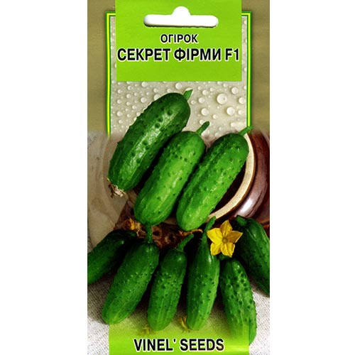 Огірок Секрет фірми F1 Vinel seeds зображення 1 артикул 95683