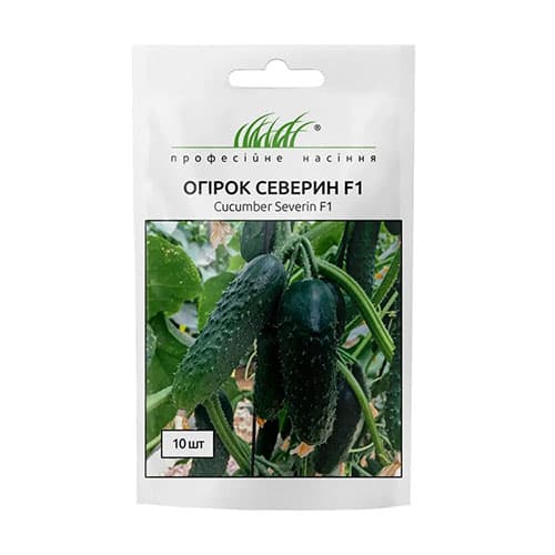 Огурец Северин F1 Профессиональные семена рисунок 1 артикул 90823