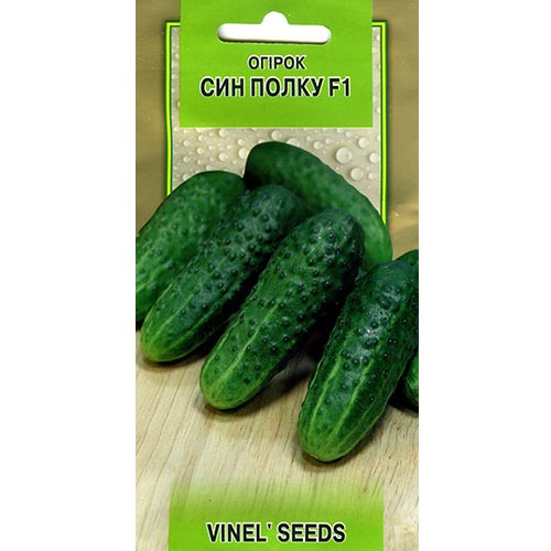 Огурец Сын полка F1 Vinel seeds рисунок 1 артикул 95687