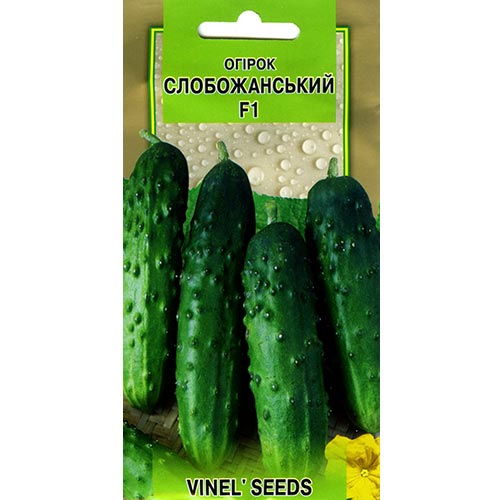 Огірок Слобожанський F1 Vinel seeds зображення 1 артикул 95688
