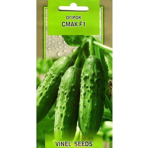 Огурец Вкус F1 Vinel seeds рисунок 1 артикул 95689