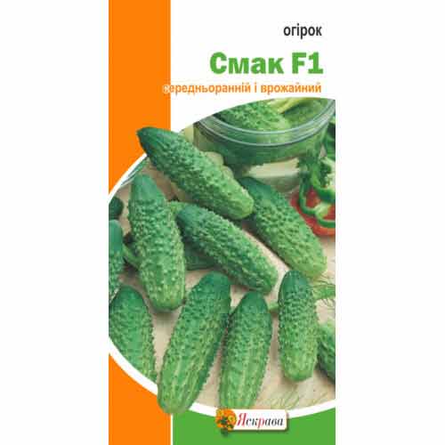 Огурец Вкус F1 Яскрава рисунок 1 артикул 99950