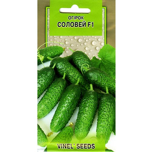 Огурец Соловей F1 Vinel seeds рисунок 1 артикул 95690
