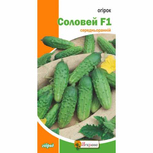 Огірок Соловей F1 Яскрава зображення 1 артикул 99949