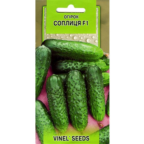 Огурец Соплица F1 Vinel seeds рисунок 1 артикул 95691