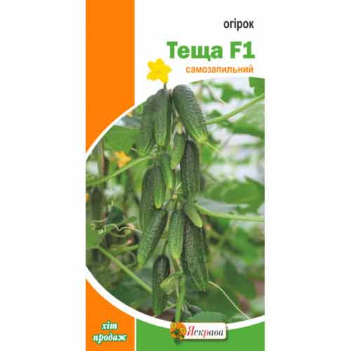 Огірок Теща F1 Яскрава зображення 1 артикул 99952