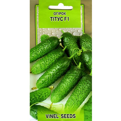 Огурец Титус F1 Vinel seeds рисунок 1 артикул 95697