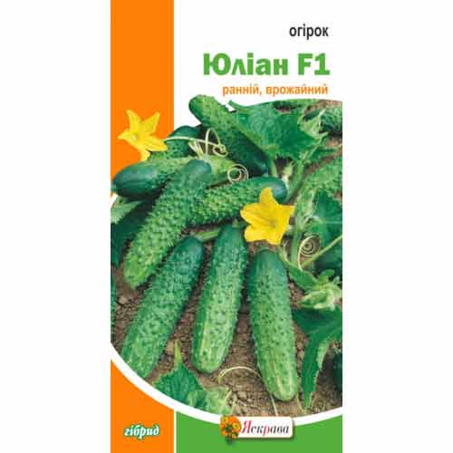 Огурец Юлиан F1 Яскрава рисунок 1 артикул 99955