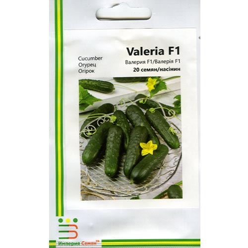 Огірок Валерія F1 Імперія насіння зображення 1 артикул 95393