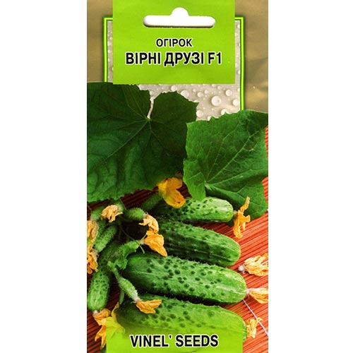 Огірок Вірні друзі F1 Vinel seeds зображення 1 артикул 95631