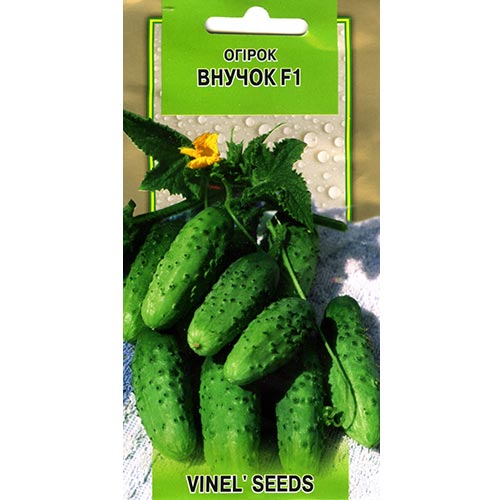 Огірок Внучок F1 Vinel seeds зображення 1 артикул 95632