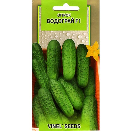 Огурец Водограй F1 Vinel seeds рисунок 1 артикул 95633