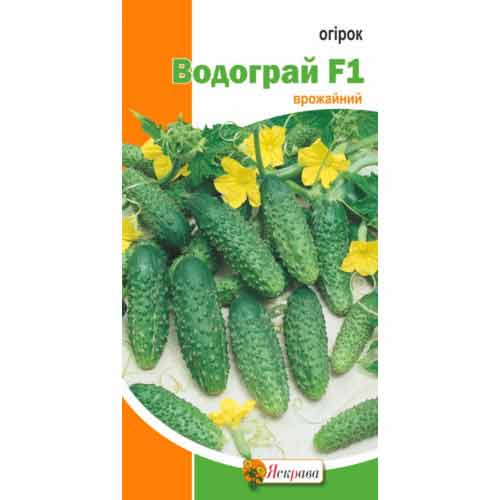 Огурец Водограй F1 Яскрава рисунок 1 артикул 99936