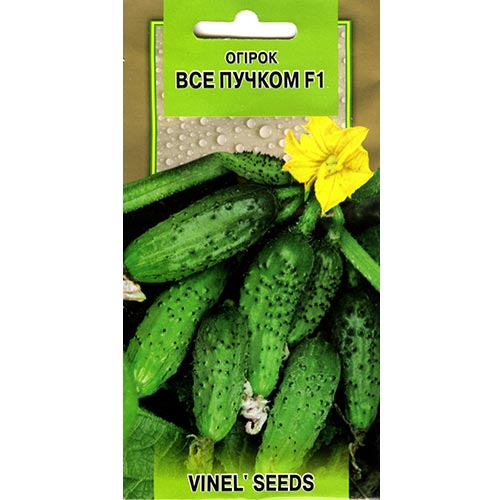 Огурец Все пучком F1 Vinel seeds рисунок 1 артикул 95634
