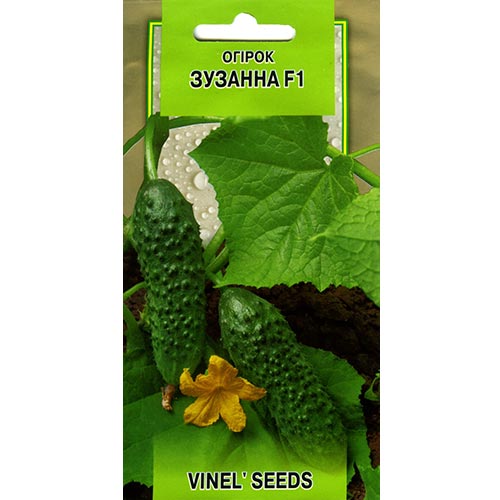 Огірок Зузанна F1 Vinel seeds зображення 1 артикул 95650