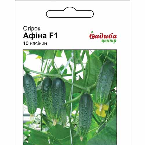 Огурец Афина F1 Садыба центр рисунок 1 артикул 89431