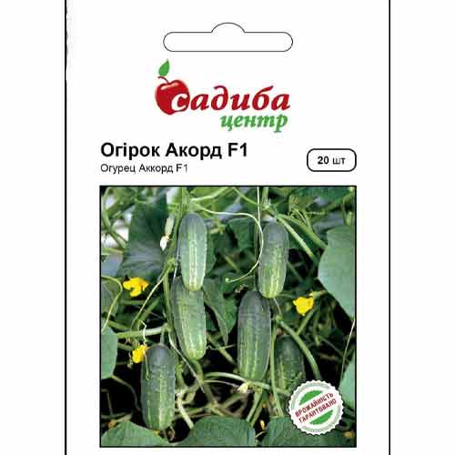 Огурец Аккорд F1 Садыба центр рисунок 1 артикул 89428