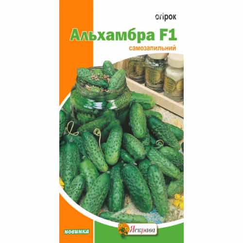 Огурец Альхамбра F1 Яскрава рисунок 1 артикул 90489