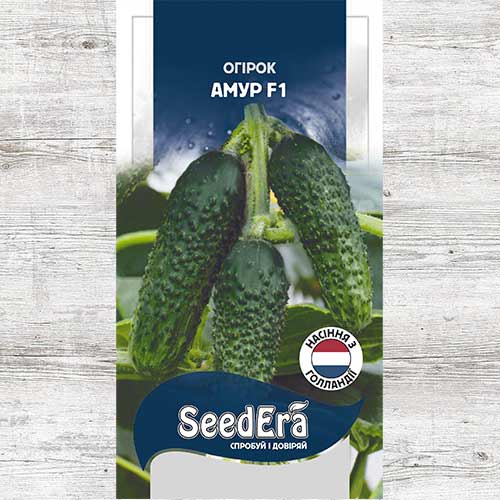 Огурец Амур F1 рисунок 1 артикул 89886