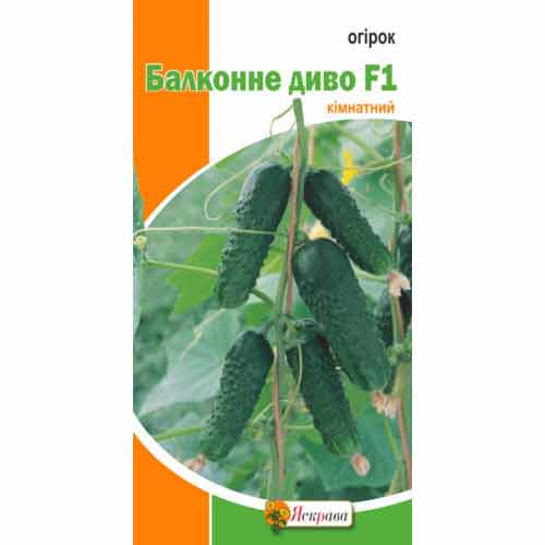 Огiрок Балконне диво кімнатний Яскрава артикул фото 1 Огiрок Балконне диво кімнатний Яскрава зображення 1 артикул 72398