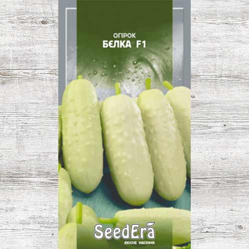 Огурец Белка F1 рисунок 1 артикул 90101