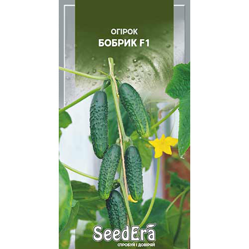 Огурец Бобрик F1 Seedera рисунок 1 артикул 90102