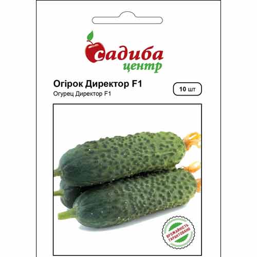 Огурец Директор F1 Садыба центр рисунок 1 артикул 89438