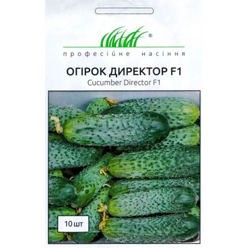 Огірок Директор F1 Професійне насіння зображення 1 артикул 77248