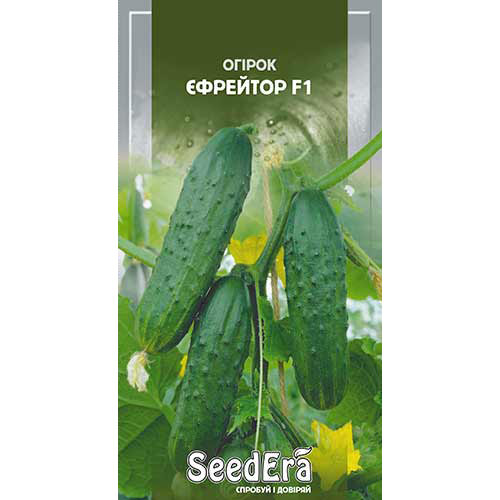 Огурец Ефрейтор F1 Seedera рисунок 1 артикул 90108