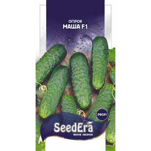 Огурец Маша F1 Seedera рисунок 1 артикул 89894